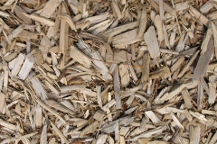 biomass boilers Lingards Wood